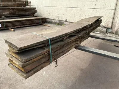 Verzaagde boomstam Kastanje – kavel bij Dome Auctions, Depot Deinze