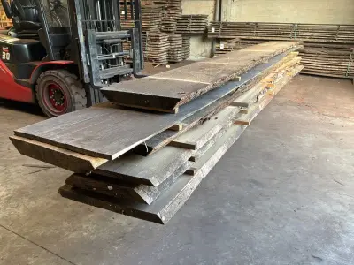 verzaagde Boomstam Douglas – kavel bij Dome Auctions, Depot Deinze