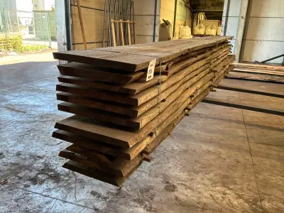 verzaagde Boomstam Douglas – kavel bij Dome Auctions, Depot Deinze