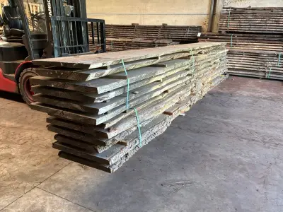 verzaagde Boomstam Douglas – kavel bij Dome Auctions, Depot Deinze