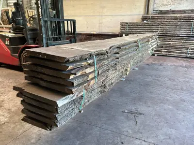 verzaagde Boomstam Douglas – kavel bij Dome Auctions, Depot Deinze