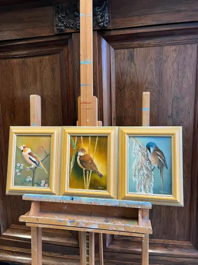 Set van drie gesigneerde vogel schilderijen – S. Vos, 2002 – kavel bij Het Harener Veilinghuys, Tynaarlo
