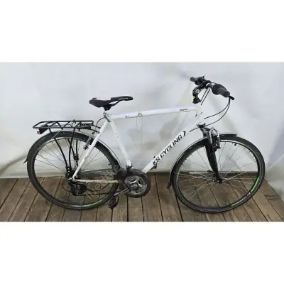 Herrenfahrrad – kavel bij Luedtke Versteigerungen, Wandlitz/Schönwalde