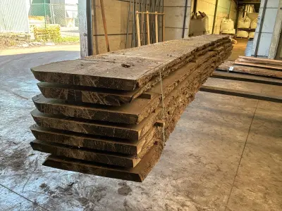 verzaagde Boomstam Douglas – kavel bij Dome Auctions, Depot Deinze