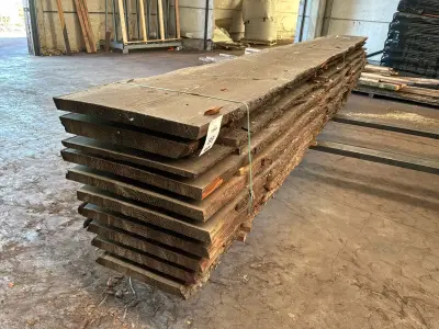 verzaagde Boomstam Douglas – kavel bij Dome Auctions, Depot Deinze