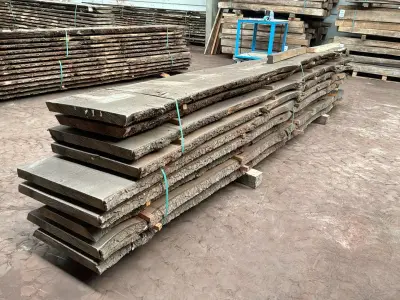 verzaagde Boomstam Douglas – kavel bij Dome Auctions, Depot Deinze