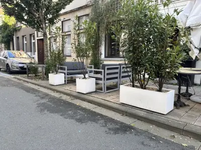 9 Div Plantenbakken Incl Planten – kavel bij Hammertime