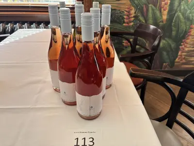 6 Flessen Rosé Wijn Cantina Sampietrana – kavel bij Hammertime