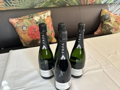 4 Flessen Cava Proa – kavel bij Hammertime