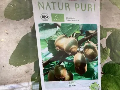10 Kiwi Mix – kavel bij Hammertime, Westerlo