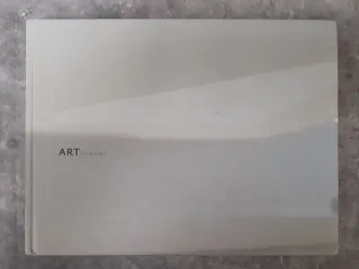 Boek: Art (silence) - hedendaagse kunst en kwalitatieve ruimte art in context (489/500) – kavel bij De Kringwinkel, Gent