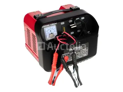 Autolader 12/24V 10A 180Ah KRAFT&DELE – kavel bij Auctelia, Aye