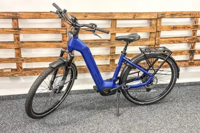 Fahrradversteigerung – veiling bij Aurena, Mürzzuschlag