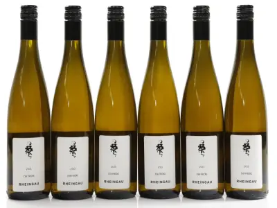 Fricke, Eva Rheingau Riesling 2013 (6 × 0,75 l) – kavel bij Koppe & Partner Weinauktionen, Bremen