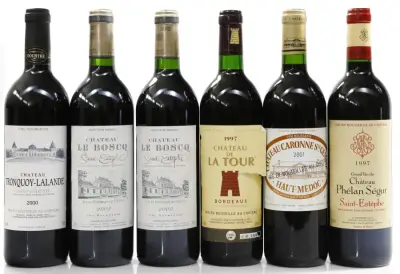 Chateau Tronquoy-Lalande Chateau Tronquoy-Lalande 2000 (0,75 l) – kavel bij Koppe & Partner Weinauktionen, Bremen