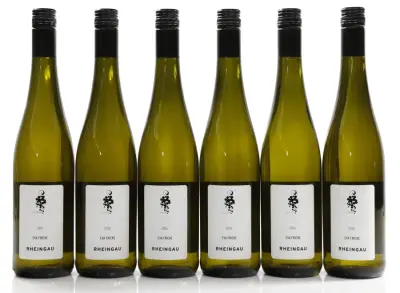 Fricke, Eva Rheingau Riesling trocken 2016 (6 × 0,75 l) – kavel bij Koppe & Partner Weinauktionen, Bremen