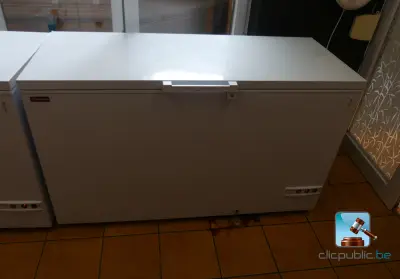 Diepvrieskist met inhoud – kavel bij Clicpublic, Waremme