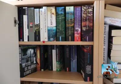 Batch boeken – kavel bij Clicpublic, Bertrange, Luxembourg