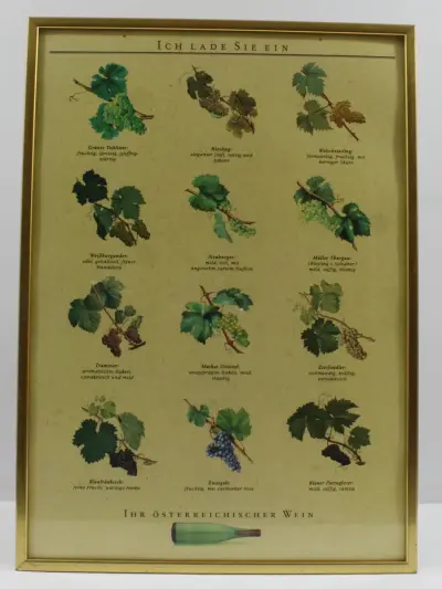 Oostenrijkse Wijnposter [1986] – kavel bij De Kringwinkel, Maasmechelen