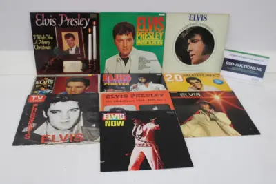 Elvis Presley diverse vinyl LP set van 10 – kavel bij GSD Auctions, Zoeterwoude