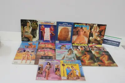 Set vintage Playboy magazines en tijdschriften – kavel bij GSD Auctions, Zoeterwoude