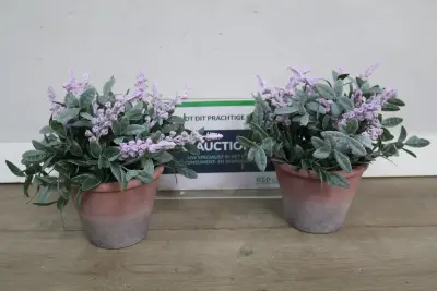 Set van twee kunstplanten – kavel bij GSD Auctions, Zoeterwoude