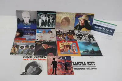 15 diverse vinyl singles en EP's – kavel bij GSD Auctions, Zoeterwoude