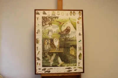 Illustraties van uilen – kavel bij GSD Auctions, Zoeterwoude