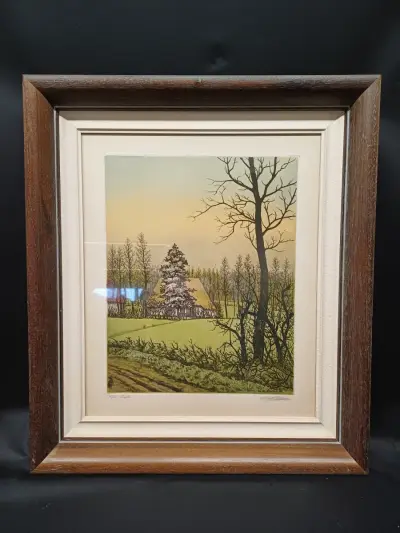 Kleuren ets Emiel De Cooman – kavel bij De Kringwinkel, Ninove