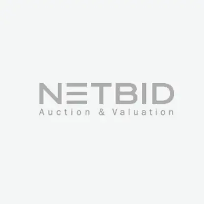Pickup Ford Ranger Wildtrak 2.0 EcoBlue Doka – kavel bij NetBid, Mainz-Hechtsheim