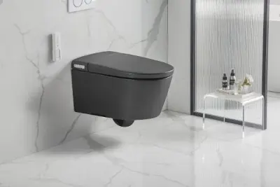 VEREG GmbH: Intelligente Wand-WCs – veiling bij Aurena, Leoben