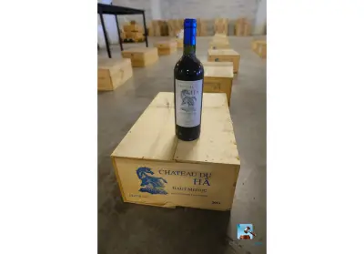 Partij rode wijnflessen – kavel bij Clicpublic, Bruxelles
