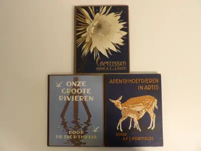 3 Verkade-plaatjesalbums (1931, 1938, 1940) – kavel bij De Kringwinkel, Leopoldsburg