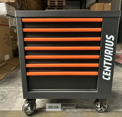 Centurius 7 drawers cabinet with side door – kavel bij Belga Veilingen