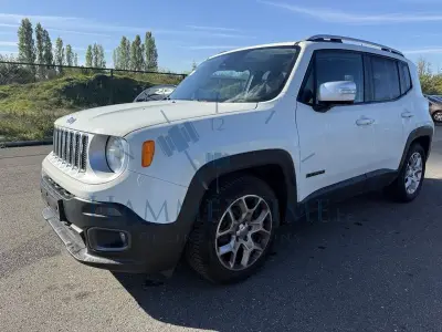Jeep Renegade – kavel bij Hammertime