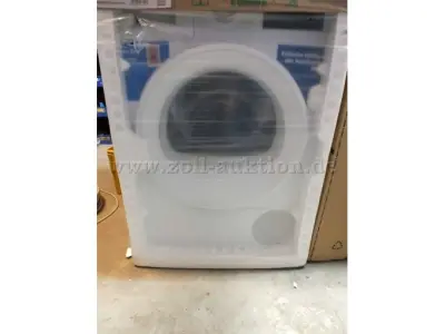 1 wasdroger Bosch WTH85V94 – kavel bij Zoll-Auktion, Büren