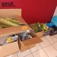 Seizoensdecoratie. 6 dozen – kavel bij BOPA Auctions, Wervik