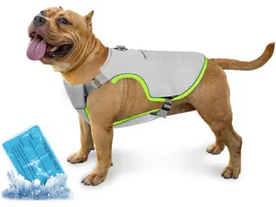 Koelvest voor honden (XXL) – kavel bij XL Auctions