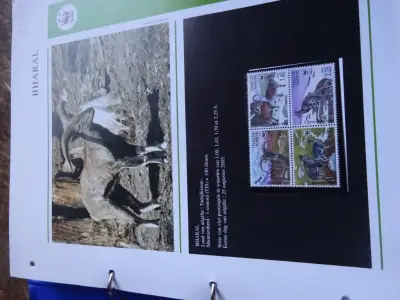 Boek postzegels en FDC's WVF – kavel bij Openbare Verkopen, Izegem