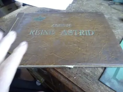 Reine Astrid cote d'or – kavel bij Openbare Verkopen, Izegem