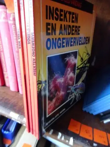 ARTIS rood 4x – kavel bij Openbare Verkopen, Izegem