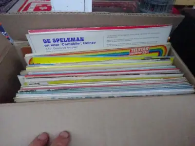 Lot LP's Nederlandstalig – kavel bij Openbare Verkopen, Izegem