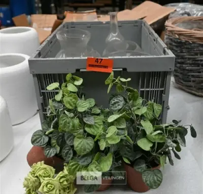 Diverse glazen vazen en potjes met plantjes – kavel bij Belga Veilingen, Lummen