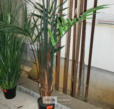 Plastieken sierplant – kavel bij Belga Veilingen, Lummen