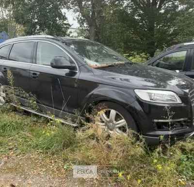 AUDI Q7, enkel voor vergunninghouders en erkende centra voor verschotting – kavel bij Belga Veilingen