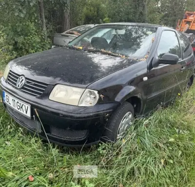 VW POLO, enkel voor vergunninghouders en erkende centra voor verschotting – kavel bij Belga Veilingen