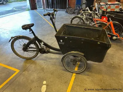 Bakfiets TRIOBIKE, met sleutel, nummer 702 - 404. Werking niet gekend – kavel bij Appelboom