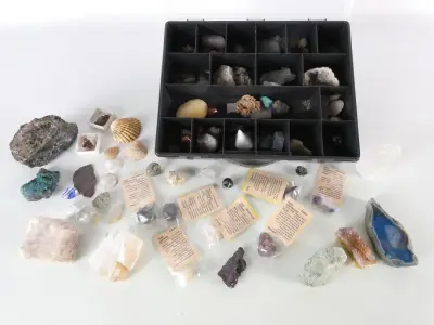 Verzameling mineralen, fossielen en schelpen met opbergdoos – kavel bij De Kringwinkel, Heverlee