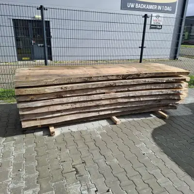 8x Massieve Boomstambladen, Winddroog, 2025 – kavel bij Onlineveilingmeester, Groningen