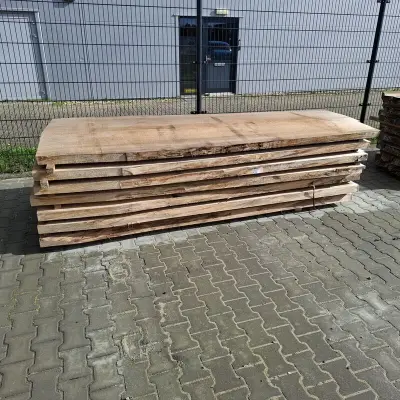 7x Massieve Boomstambladen, Winddroog, 2025 – kavel bij Onlineveilingmeester, Groningen